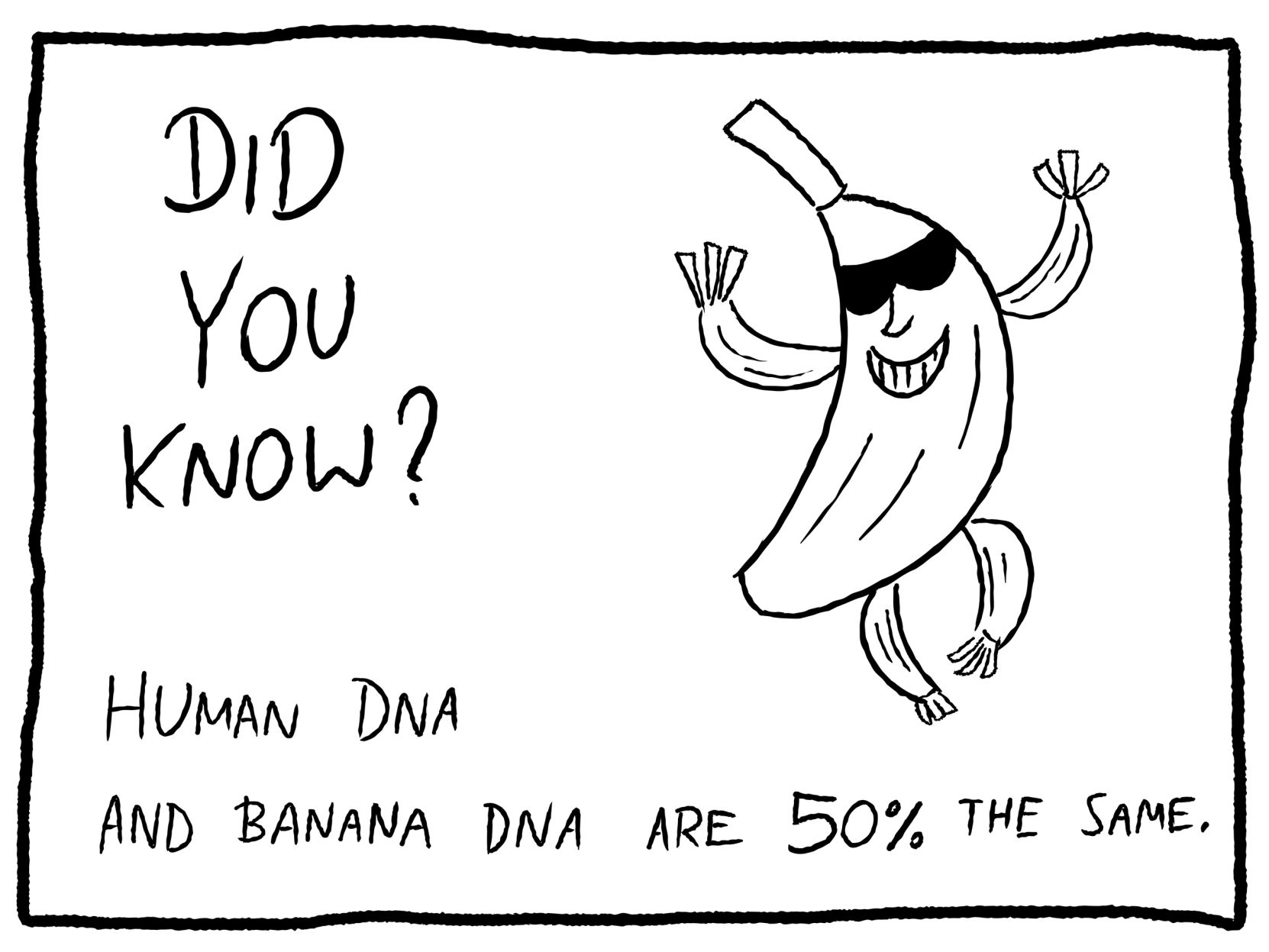 human and banana trivia